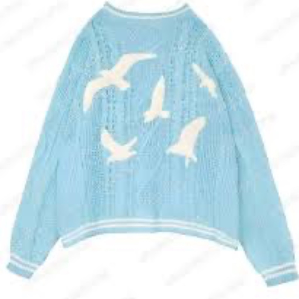 1989 Taylor's Version Cardigan